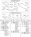 Engine Gasket Set Carburetor Overhaul Kit Diagram and Parts List for 243431-0798-99  Briggs and Stratton Engine